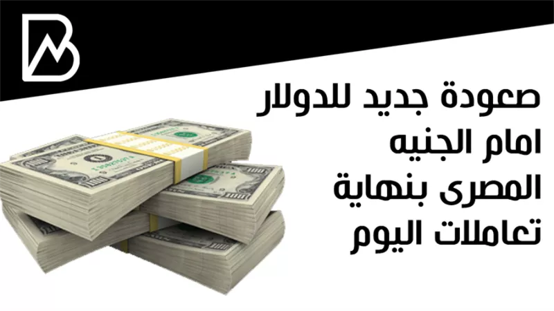 صعودة جديد للدولار امام الجنيه المصرى بنهاية تعاملات اليوم 