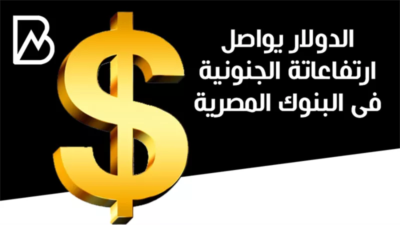 الدولار يواصل ارتفاعاتة الجنونية فى البنوك المصرية 