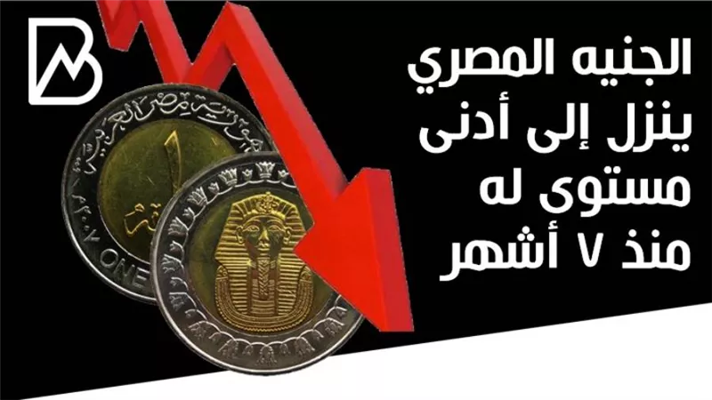  الجنيه المصري ينزل إلى أدنى مستوى له منذ 7 أشهر