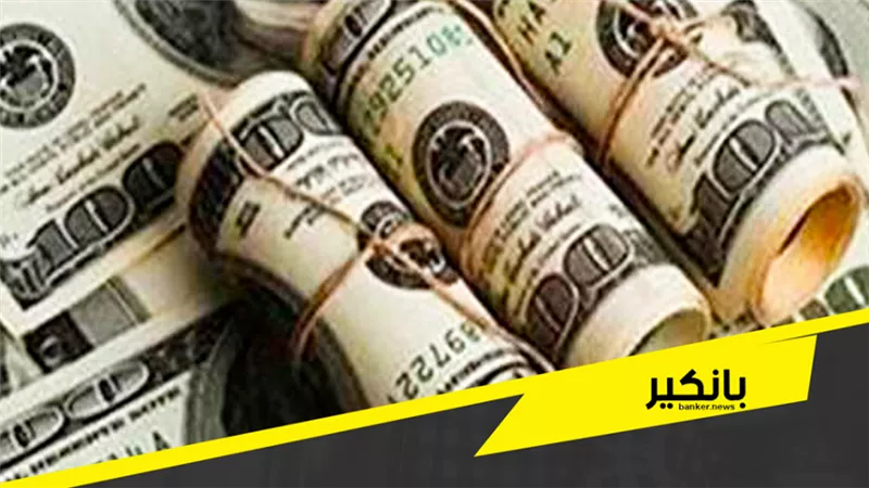 ارتفاع فى اسعار الدولار مقابل الجنيه اليوم 