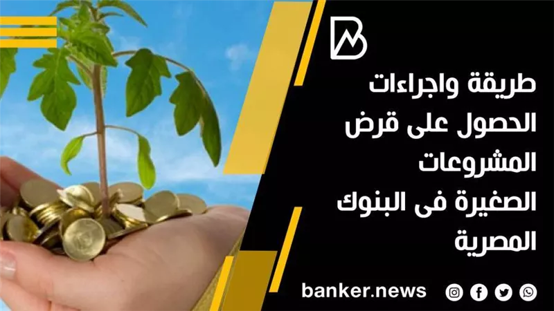 طريقة واجراءات الحصول على قرض المشروعات الصغيرة من البنوك المصرية 