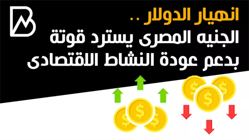 انهيار الدولار .. الجنيه المصرى يسترد قوتة بدعم عودة النشاط الاقتصادى 