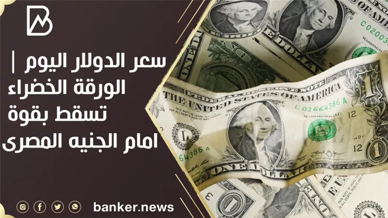 سعر الدولار اليوم | الورقة الخضراء تسقط بقوة امام الجنيه المصرى 
