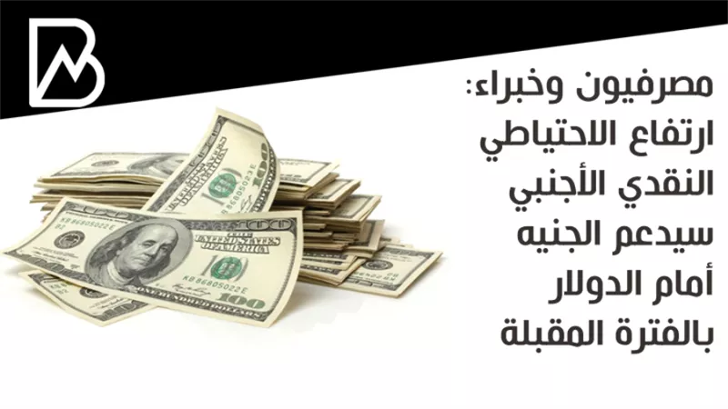  مصرفيون وخبراء: ارتفاع الاحتياطي النقدي الأجنبي سيدعم الجنيه أمام الدولار بالفترة المقبلة