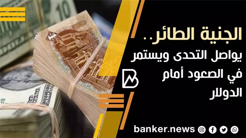 الجنية الطائر.. يواصل التحدى ويستمر في الصعود أمام الدولار