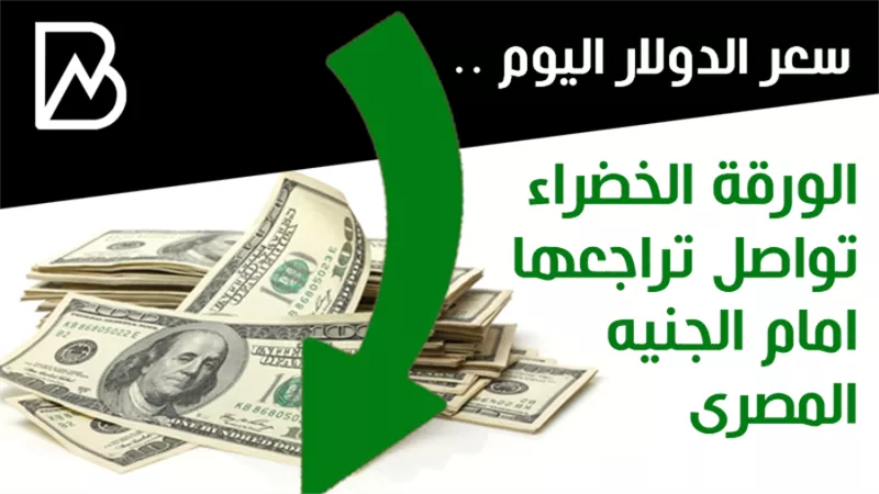 سعر الدولار اليوم .. الورقة الخضراء تواصل تراجعها امام الجنيه المصرى