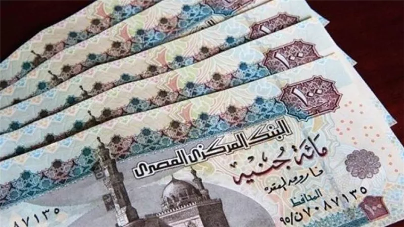 تعرف على عقوبة إهانة أو تشويه النقد بقانون البنوك الجديد