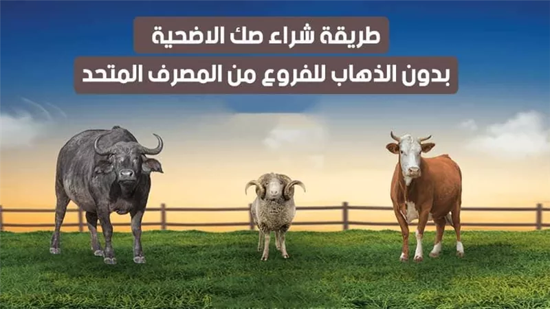 طريقة شراء صك الاضحية بدون الذهاب للفروع من المصرف المتحد | فيديو 