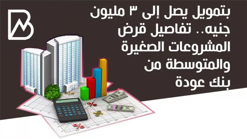 بتمويل يصل إلى 3 مليون جنيه.. تفاصيل قرض المشروعات الصغيرة والمتوسطة من بنك عودة