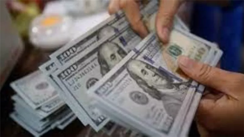 سعر الدولار اليوم | الورقة الخضراء تستقر فى 12 بنكا 