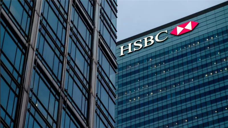 HSBC: أساسات اقتصاد مصر قوية.. والإقبال على السندات يبرز ثقة المقرضين في استقرار الاقتصاد