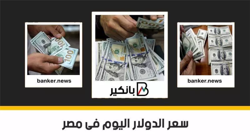 سعر الدولار اليوم الخميس 13 - 8 - 2020 فى مصر 