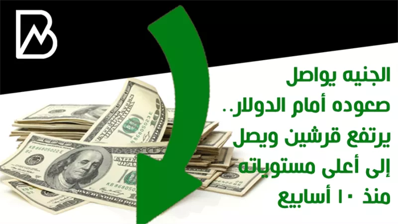 الجنيه يواصل صعوده أمام الدولار.. يرتفع قرشين ويصل إلى أعلى مستوياته منذ 10 أسابيع