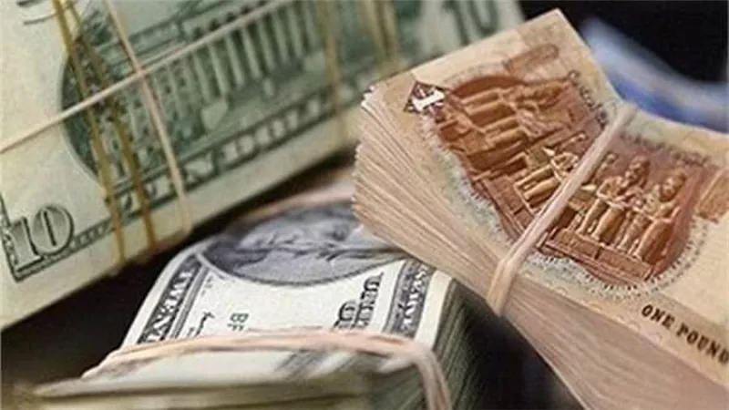 سعر الدولار اليوم الإثنين 24 - 8 - 2020 فى مصر 