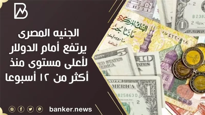 الجنيه المصرى يرتفع أمام الدولار لأعلى مستوى منذ أكثر من 12 أسبوعا 