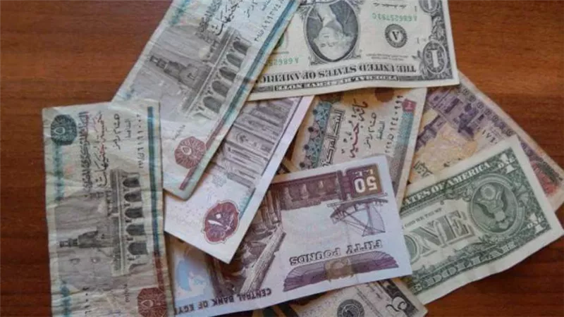  أسعار العملات اليوم الثلاثاء 25 - 8 - 2020 فى مصر