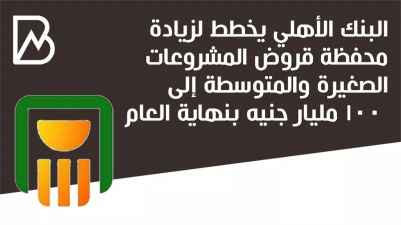 البنك الأهلي يخطط لزيادة محفظة قروض المشروعات الصغيرة والمتوسطة إلى 100 مليار جنيه بنهاية العام | أنفوجراف 