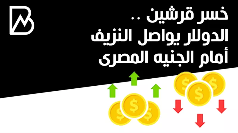 خسر قرشين .. الدولار يواصل النزيف أمام الجنيه المصرى 