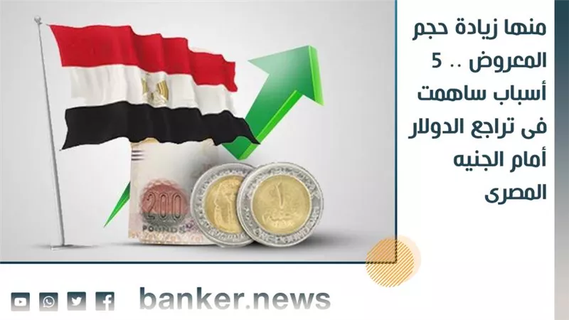 منها زيادة حجم المعروض .. 5 أسباب ساهمت فى تراجع الدولار أمام الجنيه المصرى 
