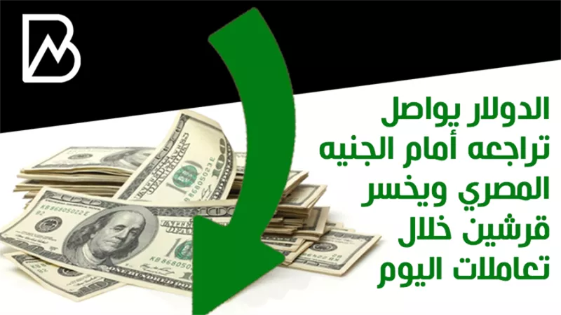 الدولار يواصل تراجعه أمام الجنيه المصري ويخسر قرشين خلال تعاملات اليوم