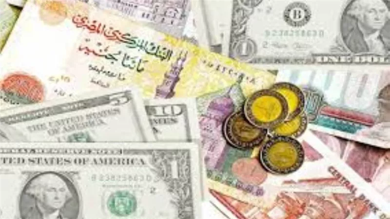 تراجع جماعى لاسعار العملات .. اليورو يفقد 23 قرشا  والدولار يواصل النزيف 