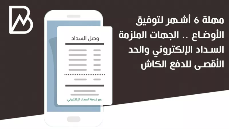مهلة 6 أشهر لتوفيق الأوضاع.. الجهات الملزمة بالسداد الإلكتروني والحد الأقصى للدفع الكاش
