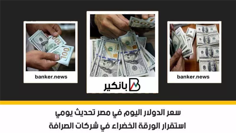 سعر الدولار اليوم في مصر تحديث يومي.. استقرار الورقة الخضراء في شركات الصرافة