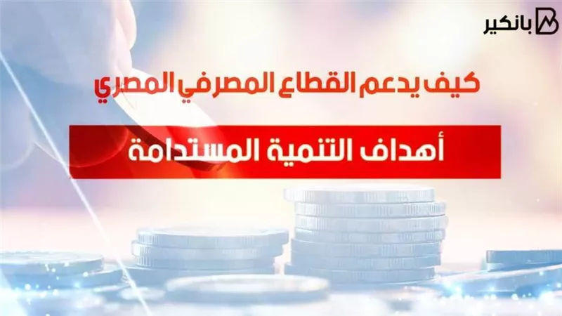 فيديو .. كيف يدعم القطاع المصرفي المصري أهداف التنمية المستدامة 