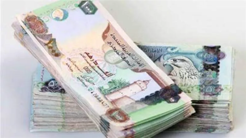 سعر صرف الدرهم الاماراتي أمام الجنيه المصرى اليوم الاثنين 9/ 11 /2020