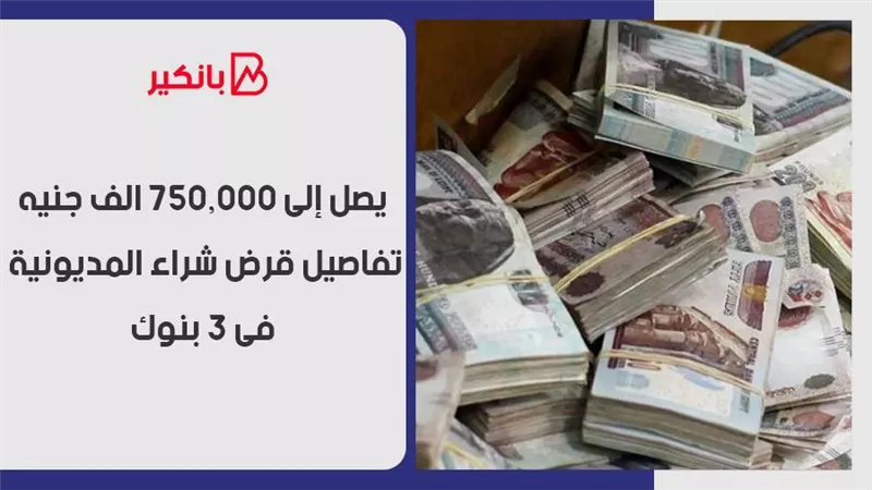 يصل إلى 750,000 الف جنيه.. تفاصيل قرض شراء المديونية فى 3 بنوك 