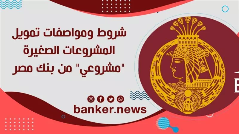 شروط ومواصفات تمويل المشروعات الصغيرة 