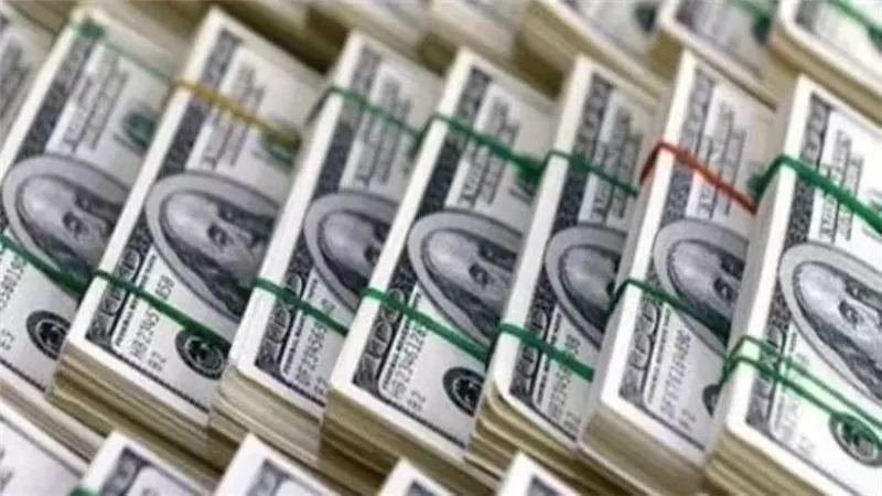 سعر الدولار اليوم السبت 14 - 11 - 2020 فى مصر تحديث يومى