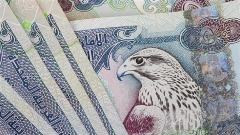 سعر الدرهم الاماراتي مقابل الجنيه المصري اليوم الأربعاء 4/ 11/ 2020