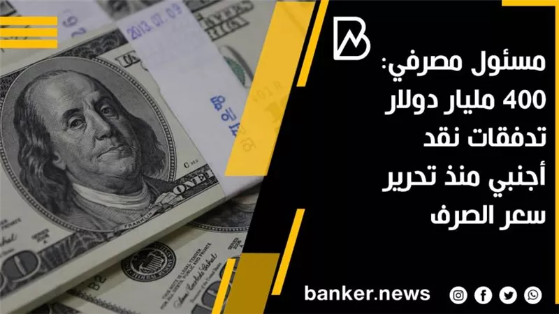 مسئول مصرفي: 400 مليار دولار تدفقات نقد أجنبي منذ تحرير سعر الصرف