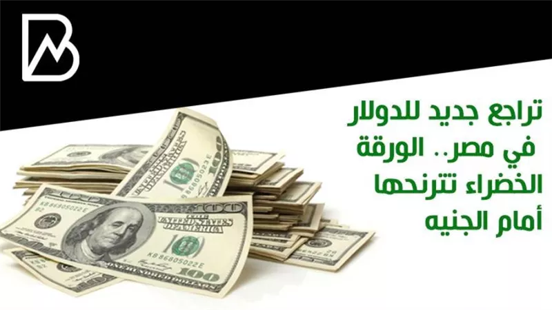 تراجع جديد للدولار في مصر.. الورقة الخضراء تترنح أمام الجنيه 