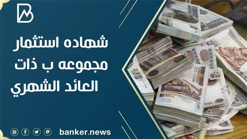 شهاده استثمار مجموعه ب ذات العائد الشهري.. اعرف التفاصيل