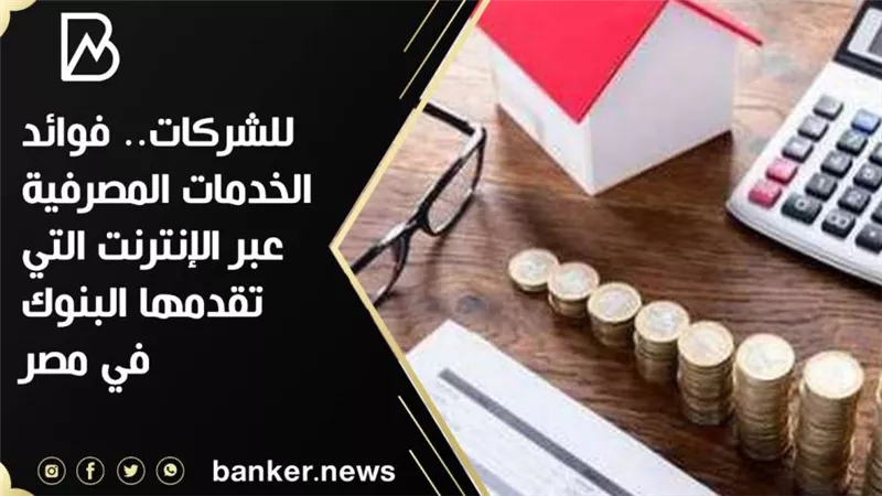 فيديو | للشركات.. فوائد الخدمات المصرفية عبر الإنترنت التي تقدمها البنوك في مصر