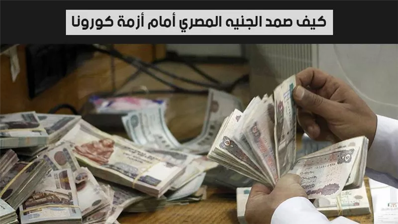 فيديو | الجنيه المصري يبهر العالم لصموده خلال أزمة كورونا.. و12 سببا تؤكد انتعاشة العملة المحلية في 2021