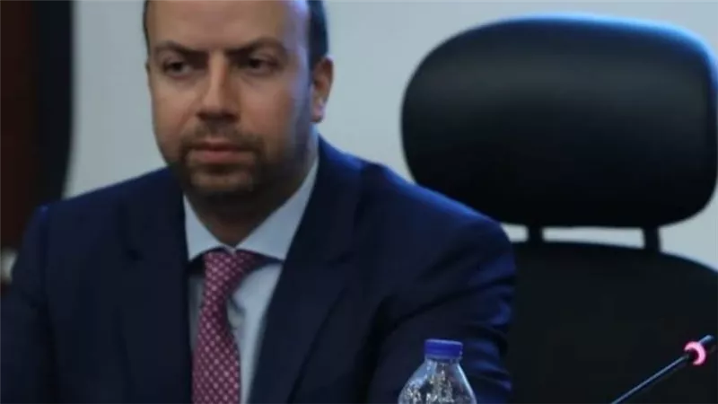 أبو النجا: بناء الاحتياطيات الدولية والإصلاحات الهيكلية أهل مصر لمواجهة الصدمات الخارجية