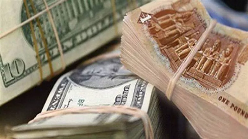 سعر الدولار اليوم الخميس 3 - 12 - 2020 فى مصر تحديث يومى