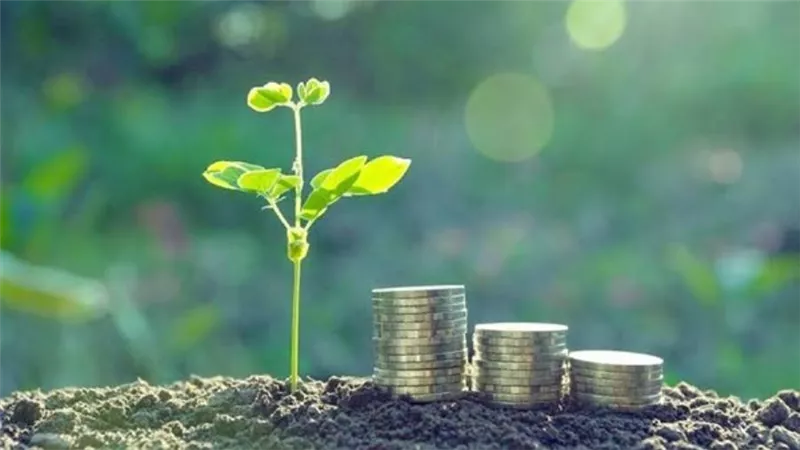 زيادة الاستثمارات الخضراء والمسئولة اجتماعيًا بالإمارات في 2020