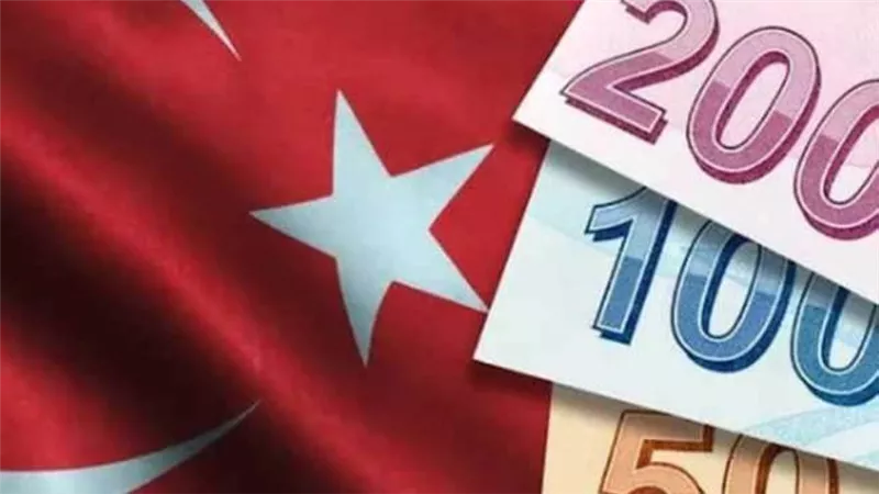 الليرة التركية تهبط 1.25% فى تعاملات اليوم الخميس 10 ديسمبر 2020