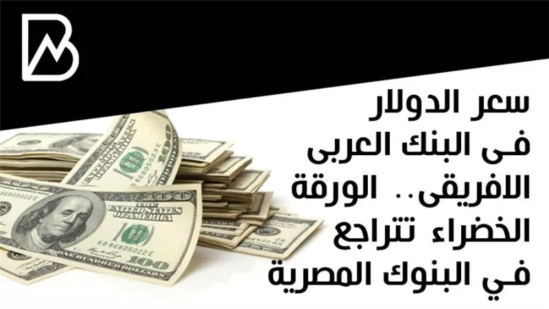  سعر الدولار فى البنك العربى الافريقى.. الورقة الخضراء تتراجع في البنوك المصرية