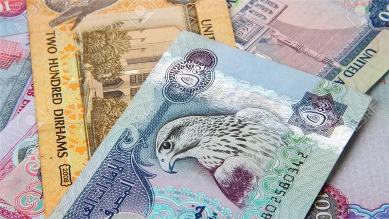 سعر  الدرهم الاماراتي مقابل الجنيه المصري اليوم الثلاثاء 22 /12 / 2020 
