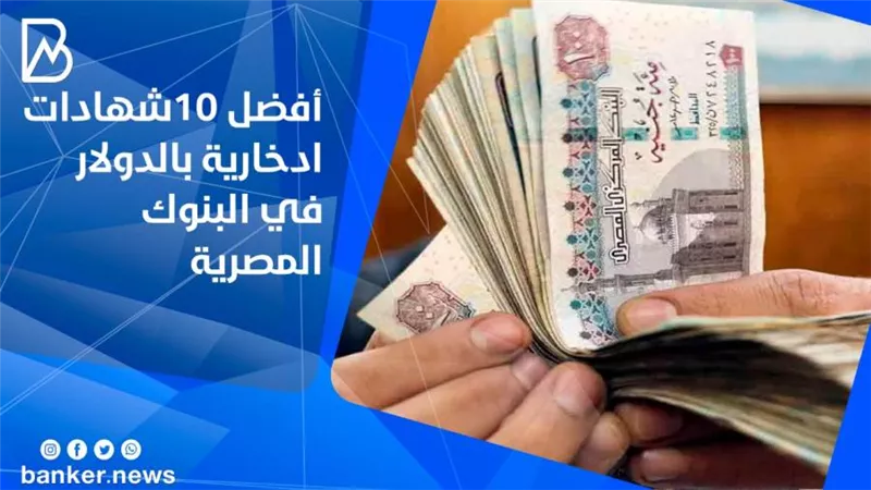 أفضل 10شهادات ادخارية بالدولار في البنوك المصرية 