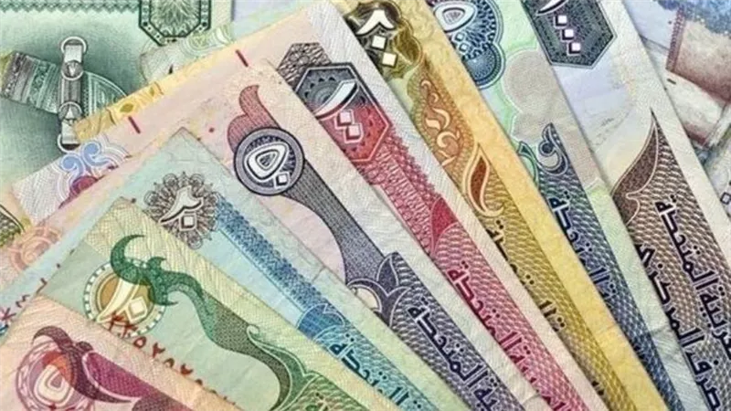 سعر صرف الدرهم الاماراتي مقابل الجنيه المصري اليوم الأربعاء 20 /12 /2020 
