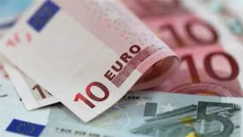 سعر  اليورو الأوروبي مقابل الجنيه المصري اليوم الخميس 31/ 12 / 2020 