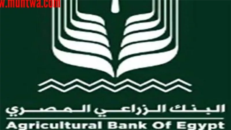 شروط وتفاصيل وظائف البنك الزراعي المصري 2021