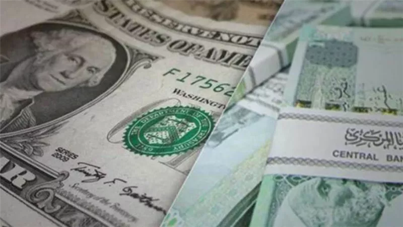 سعر الدينار الليبي اليوم أمام الدولار .. الأحد 24/ 1/ 2021 