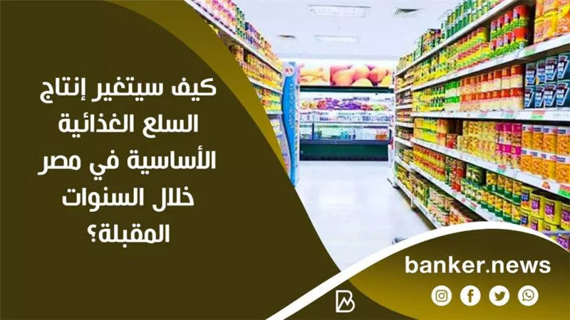 كيف سيتغير إنتاج السلع الغذائية الأساسية في مصر خلال السنوات المقبلة؟ | إنفوجرافيك